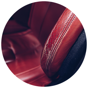 Interior Upholstery Damage & Fading